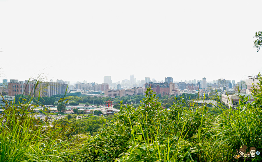 高雄果嶺自然公園 高雄最大後花園 原高雄高爾夫球場 草地 免費 超大 巨大 秘境