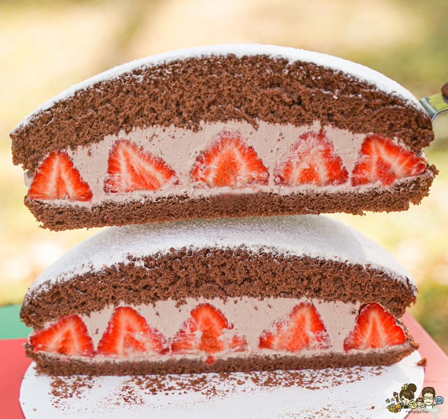 十月甜波士頓派 排隊 必買 必吃 草莓蛋糕 草莓波士頓派 限定 團購 必吃 冬季限定 高雄甜點 高雄蛋糕