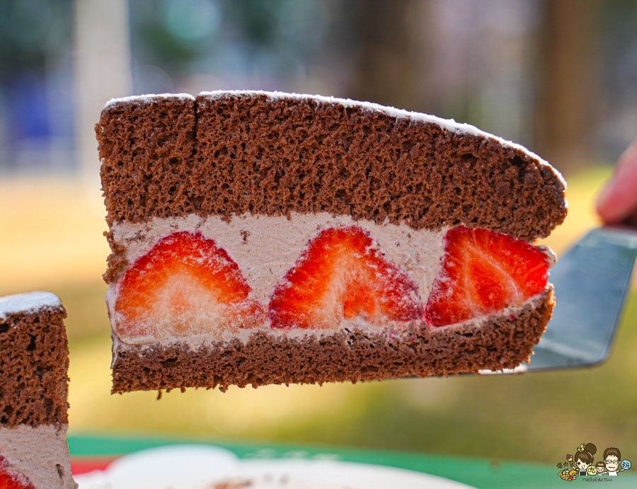 十月甜波士頓派 排隊 必買 必吃 草莓蛋糕 草莓波士頓派 限定 團購 必吃 冬季限定 高雄甜點 高雄蛋糕