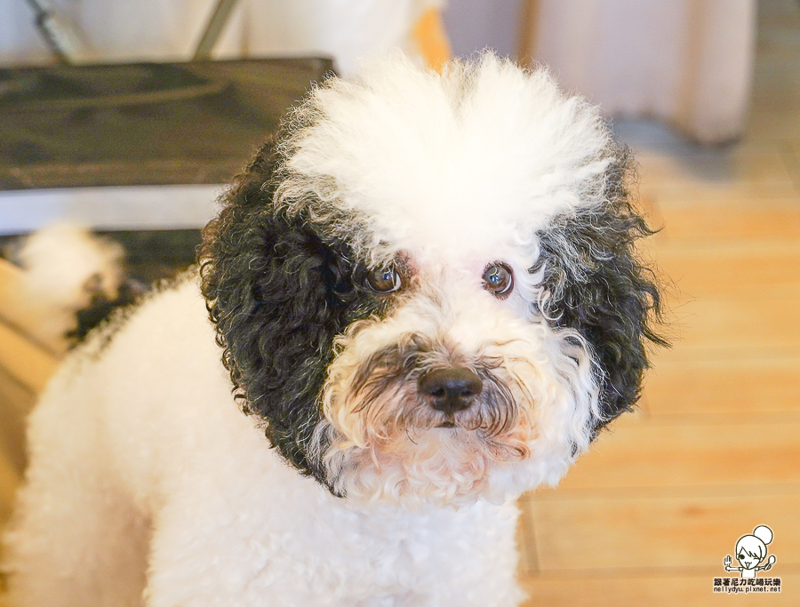 豐闔家開伙燒肉便當 燒肉 牛肉 醬燒 客製化便當 會議便當 菜飯 推薦 必吃 店狗 有名 像弄美食