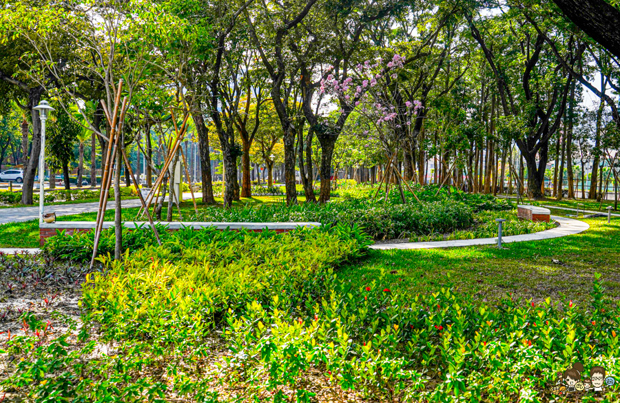 高雄公園 盤花公園 客家 客家文化館 旅遊 景點 愛河之心 濕地 公園 親子 家庭 散步 