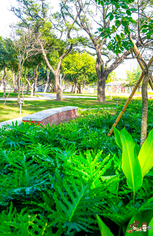 高雄公園 盤花公園 客家 客家文化館 旅遊 景點 愛河之心 濕地 公園 親子 家庭 散步 