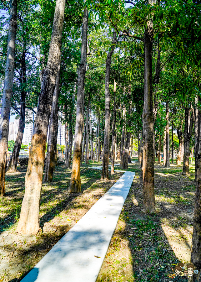 高雄公園 盤花公園 客家 客家文化館 旅遊 景點 愛河之心 濕地 公園 親子 家庭 散步 