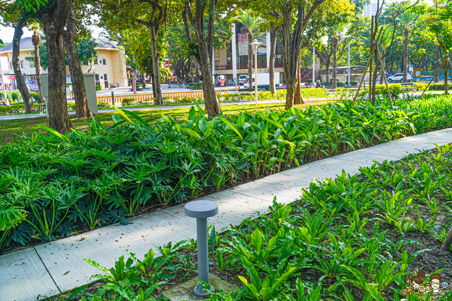 高雄公園 盤花公園 客家 客家文化館 旅遊 景點 愛河之心 濕地 公園 親子 家庭 散步 