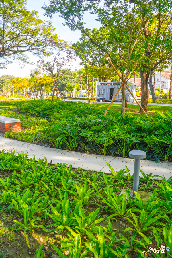 高雄公園 盤花公園 客家 客家文化館 旅遊 景點 愛河之心 濕地 公園 親子 家庭 散步 