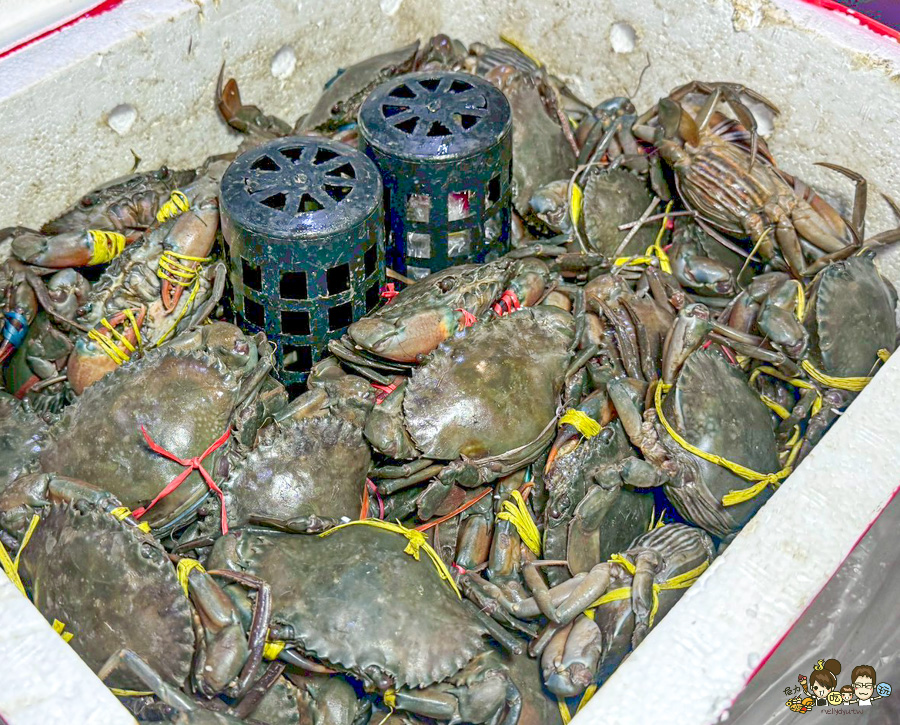 彭家飯湯 古早味飯湯 海鮮飯湯 紅蟳 川燙 新鮮 海鮮 生魚片 雲林美食 必吃 純樸