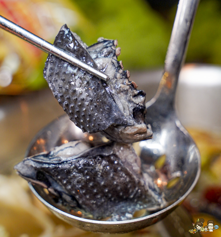 土雞下山 TAIMU 首創 鍋物 吃到飽 自助吧 土雞 高雄 全台第一間 土雞鍋物吃到飽