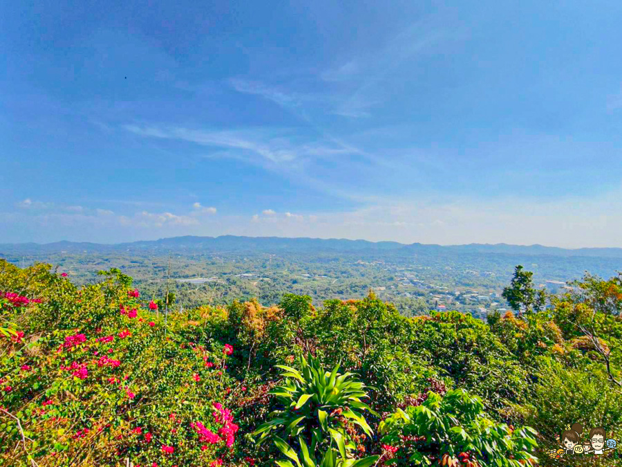 田寮秘境 礦區土雞城 礦區陳甚土雞城 土雞 高雄 好吃 推薦必吃 