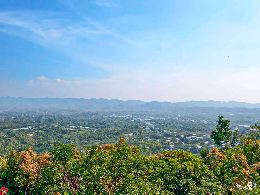 田寮秘境 礦區土雞城 礦區陳甚土雞城 土雞 高雄 好吃 推薦必吃 