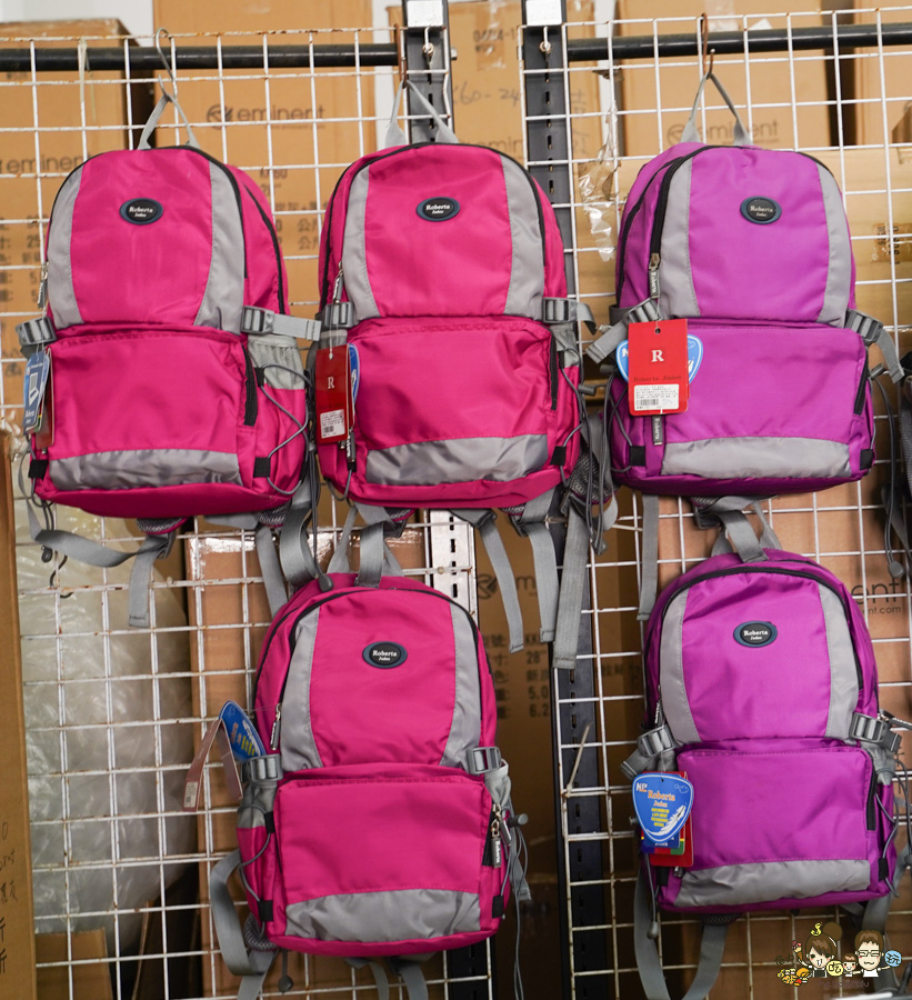 台南行李箱 安南 必買 好逛好買好便宜 休閒 旅遊 行李箱 禾雅 萬國