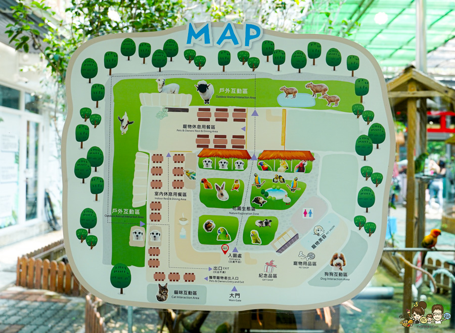 天使 惡魔寵物互動園區 中央公園 高雄親子景點 天使與惡魔寵物互動園區 高雄旅遊 親子旅遊 動物互動 網美打卡 高雄好去處 療癒系景點 親子體驗