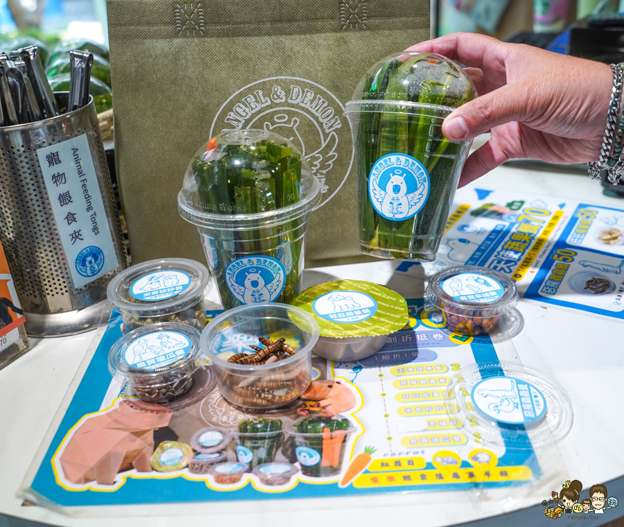 天使 惡魔寵物互動園區 中央公園 高雄親子景點 天使與惡魔寵物互動園區 高雄旅遊 親子旅遊 動物互動 網美打卡 高雄好去處 療癒系景點 親子體驗