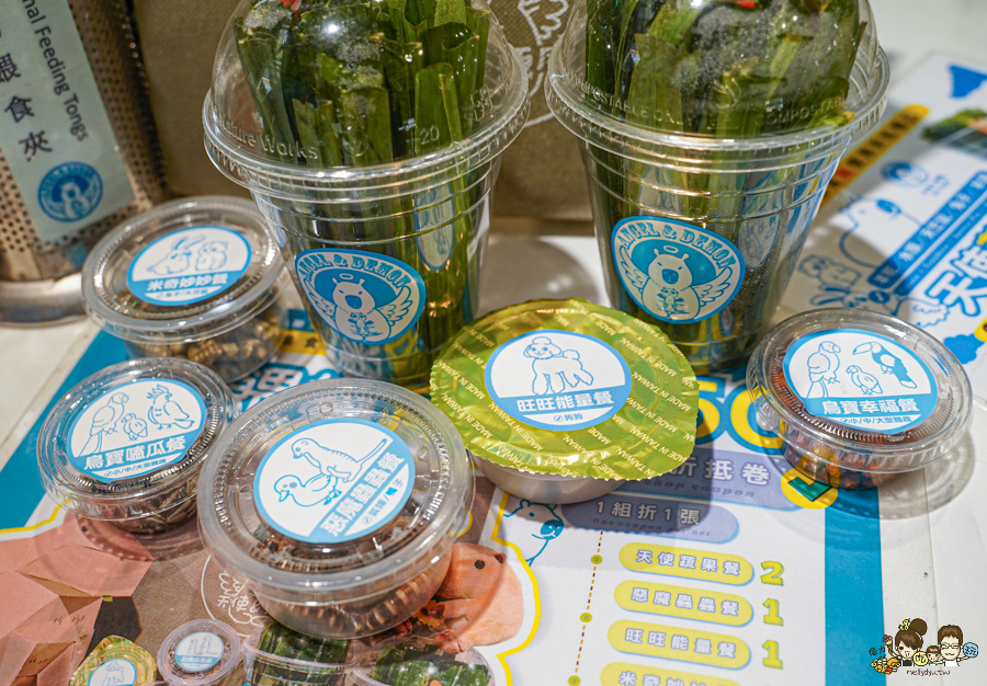 天使 惡魔寵物互動園區 中央公園 高雄親子景點 天使與惡魔寵物互動園區 高雄旅遊 親子旅遊 動物互動 網美打卡 高雄好去處 療癒系景點 親子體驗