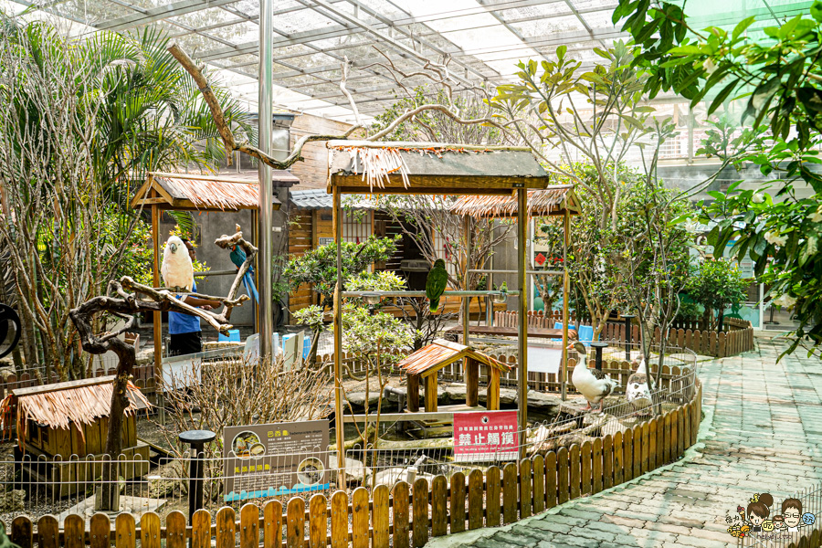 天使 惡魔寵物互動園區 中央公園 高雄親子景點 天使與惡魔寵物互動園區 高雄旅遊 親子旅遊 動物互動 網美打卡 高雄好去處 療癒系景點 親子體驗