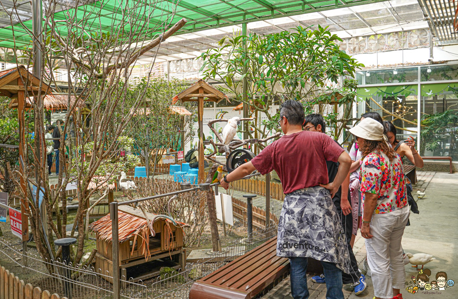 天使 惡魔寵物互動園區 中央公園 高雄親子景點 天使與惡魔寵物互動園區 高雄旅遊 親子旅遊 動物互動 網美打卡 高雄好去處 療癒系景點 親子體驗