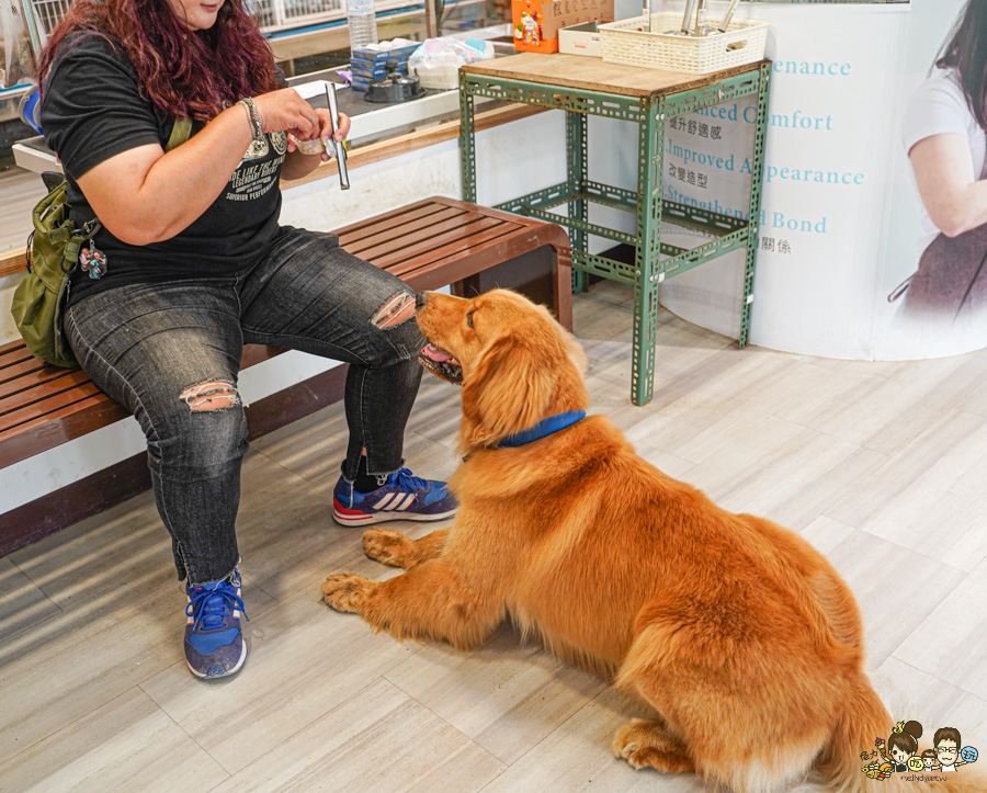 天使 惡魔寵物互動園區 中央公園 高雄親子景點 天使與惡魔寵物互動園區 高雄旅遊 親子旅遊 動物互動 網美打卡 高雄好去處 療癒系景點 親子體驗