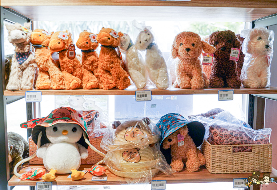 天使 惡魔寵物互動園區 中央公園 高雄親子景點 天使與惡魔寵物互動園區 高雄旅遊 親子旅遊 動物互動 網美打卡 高雄好去處 療癒系景點 親子體驗