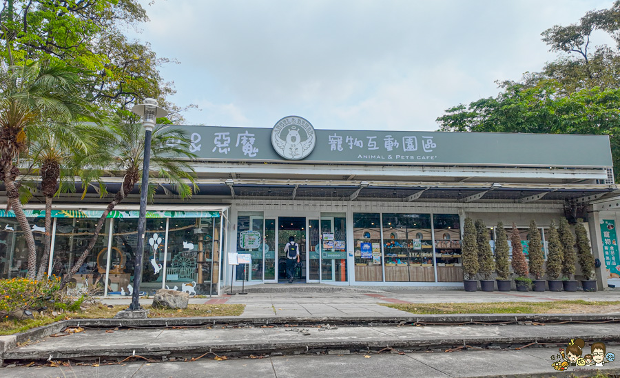 天使 惡魔寵物互動園區 中央公園 高雄親子景點 天使與惡魔寵物互動園區 高雄旅遊 親子旅遊 動物互動 網美打卡 高雄好去處 療癒系景點 親子體驗