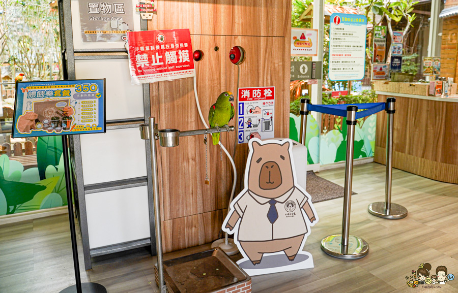 天使 惡魔寵物互動園區 中央公園 高雄親子景點 天使與惡魔寵物互動園區 高雄旅遊 親子旅遊 動物互動 網美打卡 高雄好去處 療癒系景點 親子體驗