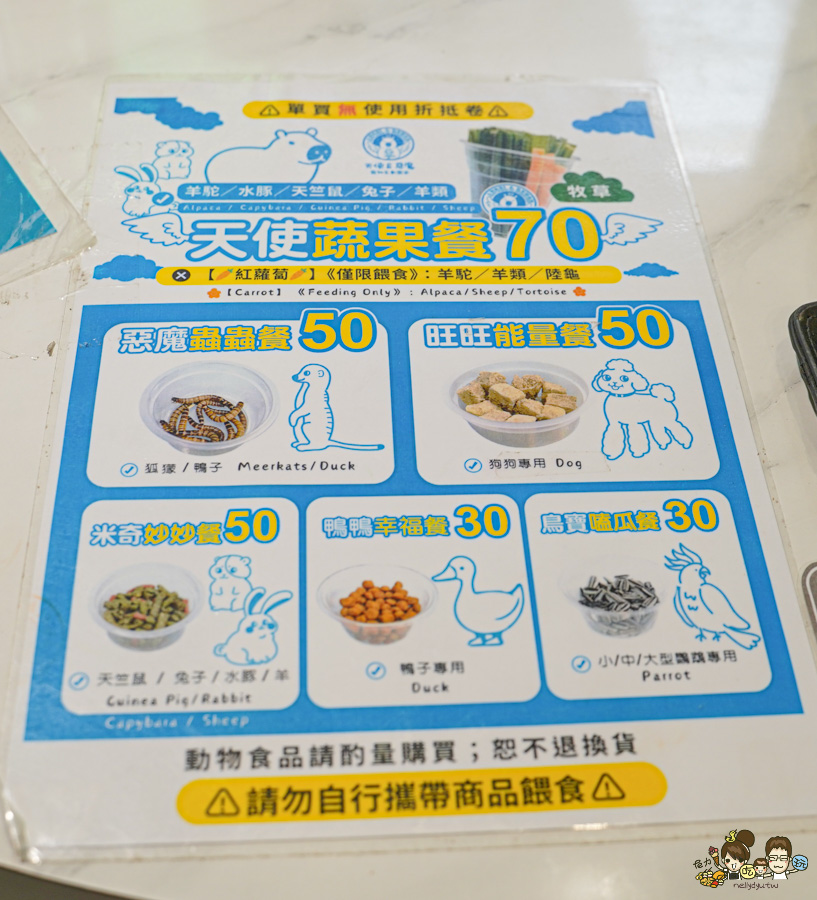 天使 惡魔寵物互動園區 中央公園 高雄親子景點 天使與惡魔寵物互動園區 高雄旅遊 親子旅遊 動物互動 網美打卡 高雄好去處 療癒系景點 親子體驗