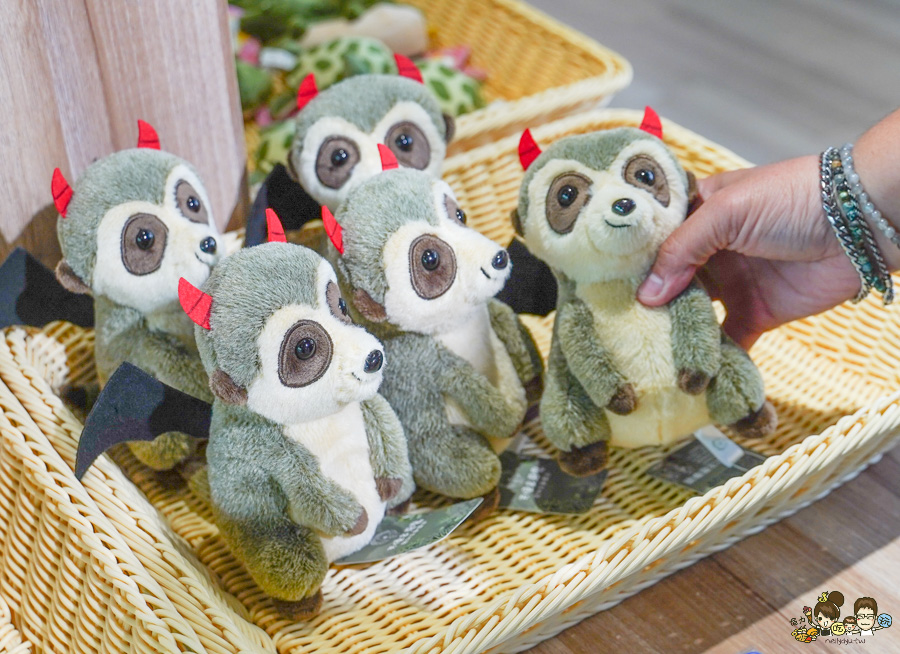 天使 惡魔寵物互動園區 中央公園 高雄親子景點 天使與惡魔寵物互動園區 高雄旅遊 親子旅遊 動物互動 網美打卡 高雄好去處 療癒系景點 親子體驗